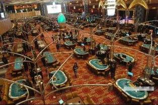 最新网红爆料网站澳门  第2张