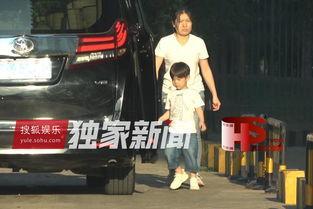 娱乐影视最新爆料剪辑,最新爆料剪辑，带你领略幕后风云  第2张